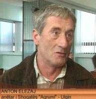 Anton Elezaj
