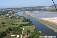 solana bajo sekulic