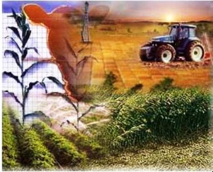 Politikat agrare dhe zhvillimi rural në Mal të Zi