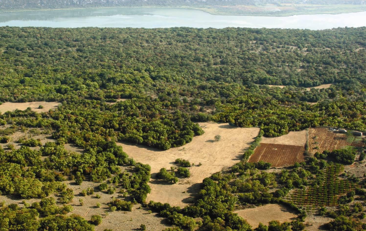 Ulcinj može postati nosilac razvoja