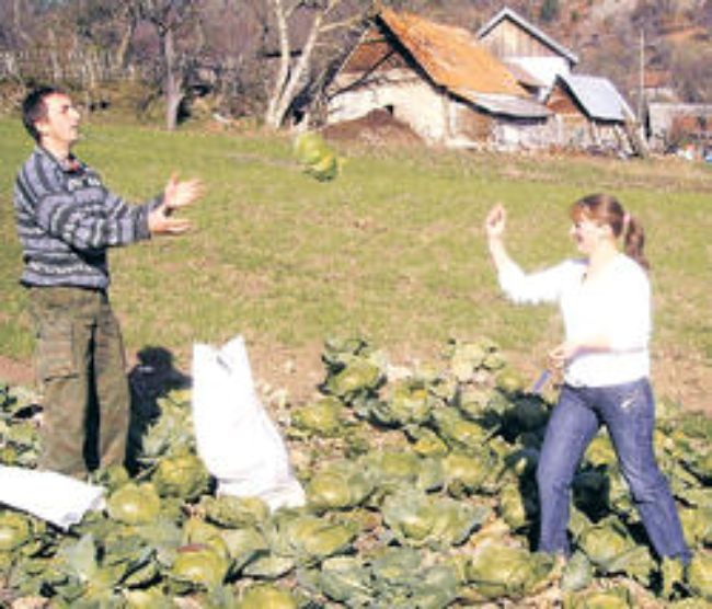 Varzat Shkodrane, nuse në Serbi