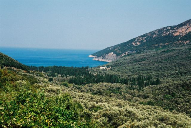 Shqiptarët nga Ulqini kërkojnë ullishten që u mori shteti