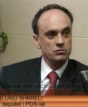 Luigj Shkreli, kandidat për deputet i Koalicionit “Mali i Zi Europian – Millo Gjukanoviq”