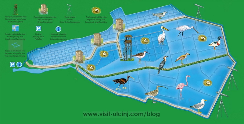 Ulcinj“Adriatic flyway konferencije” usvojena deklaracija – Video