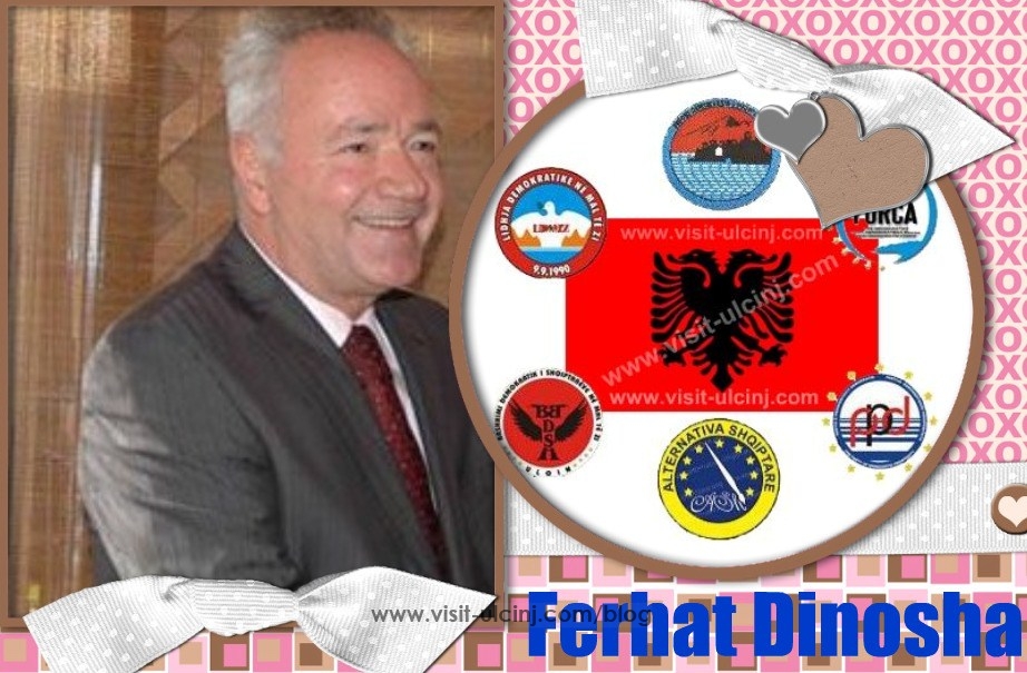 Dinosha: Të formojmë patjetër Klubin e deputetëve shqiptarë
