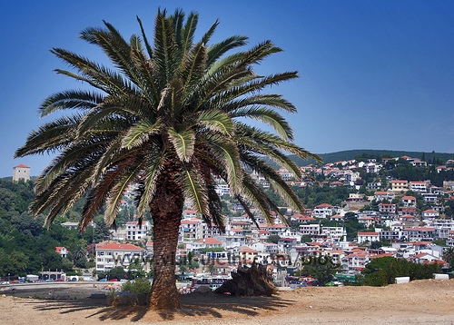 Kohë të reja;  Dofarë flamujsh të rinj