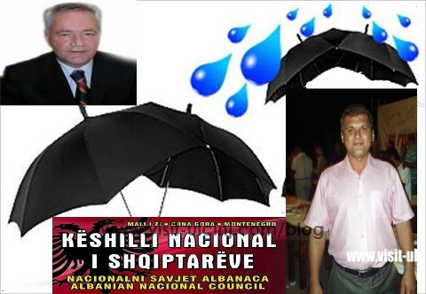 Këshilli Kombëtar i shqiptarëve në Mal të Zi,Nën ombrellën e Ministrisë