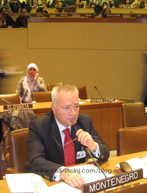 Ministar za ljudska i manjinska prava Ferhat Dinoša predvodi delegaciju Crne Gore na 54. zasijedanju Komisije za status žena Ujedinjenih nacija u Njujorku