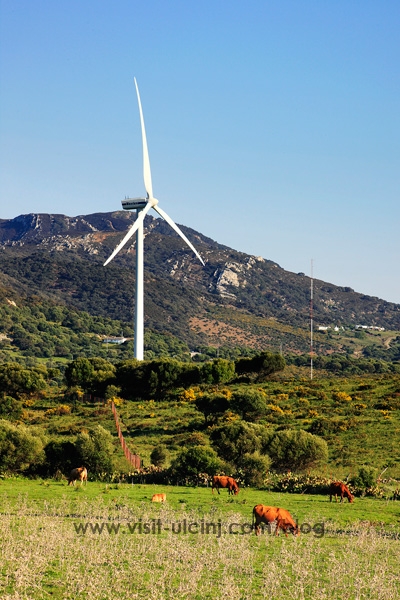 Wind energy in Krnovo and Mozura Montenegro