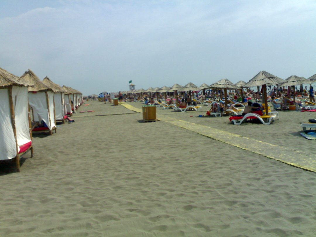 Plazhi MSM ulqin