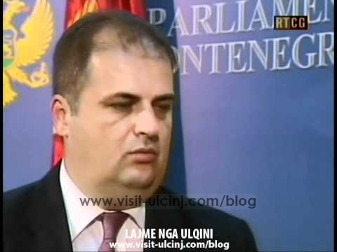 Genci Nimanbegu podržao peticije protiv izvještaja Dika Martija