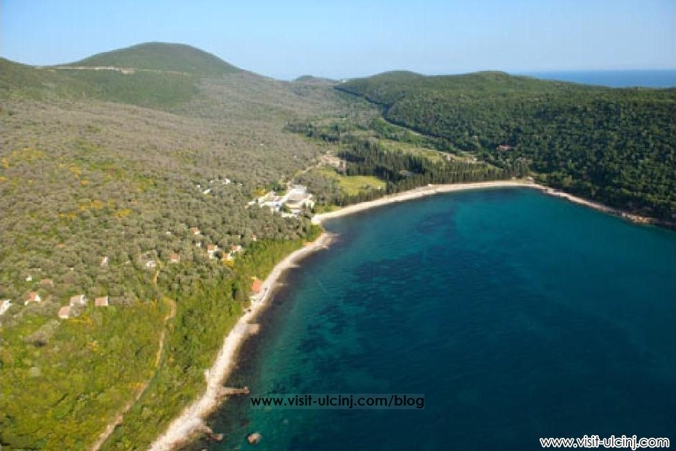 Bashkësia Islame e Malit të Zi reagon lidhur me Ullishtën e Valdanosit