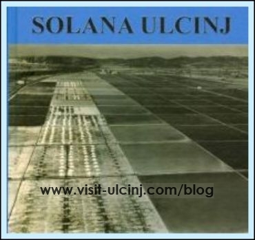 Ulcinjska solana će završtiti u stečaju