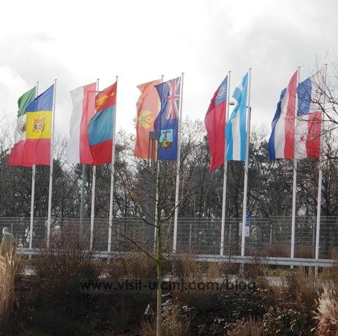 montserrat-flag-on-display-small