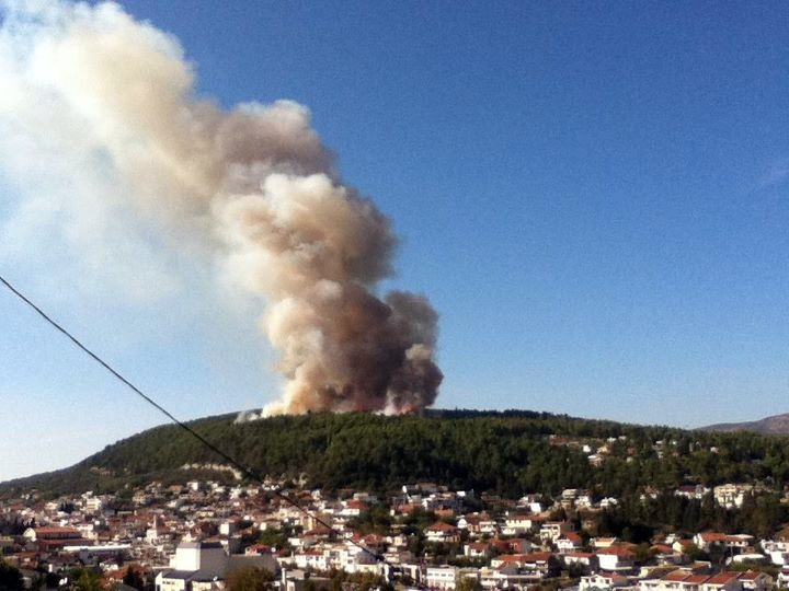 Digjet Mali i bardh,zjarri kërcënon ullishten e Valdanosit – Video