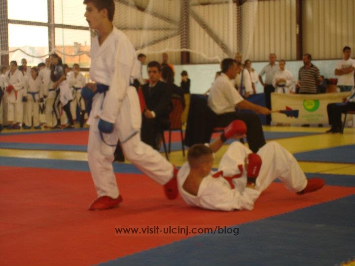 8 Medalje te arta per K.K. Champion-Ulqin.1