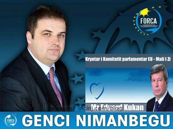 Letër e hapur parlamentarëve europian nga Genci Nimanbegu