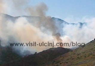 Zjarret po shkretojnë pyjet e Anes se Malit dhe Ulqinit ..SOS