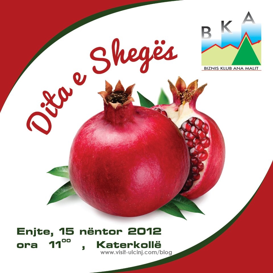 BKA organizon manifestimin “Dita e Shegës” 15 nëntor 2012