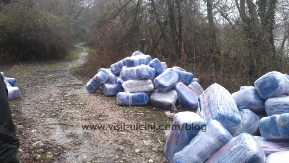 Në bregun e lumit Buna kapen rreth 1,5 ton lëndë narkotike canabis sativa + Foto