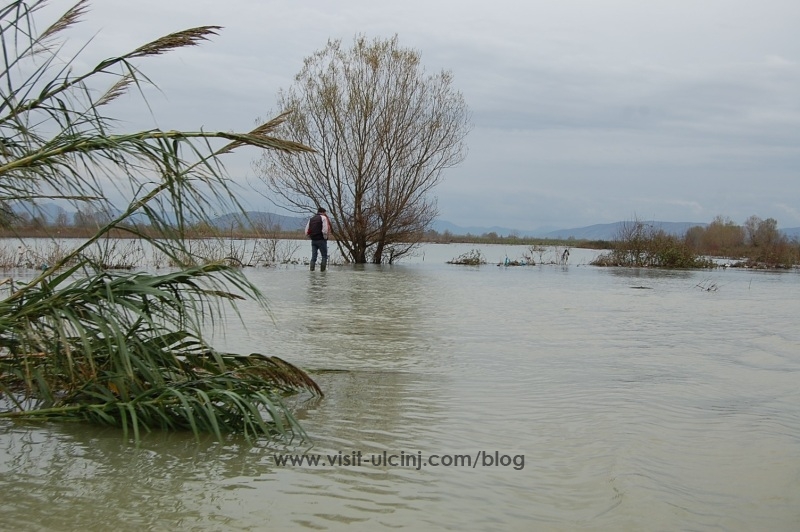 Reshjet e shiut përkeqësojnë situatën në zonat e Nënshkodrës – Video