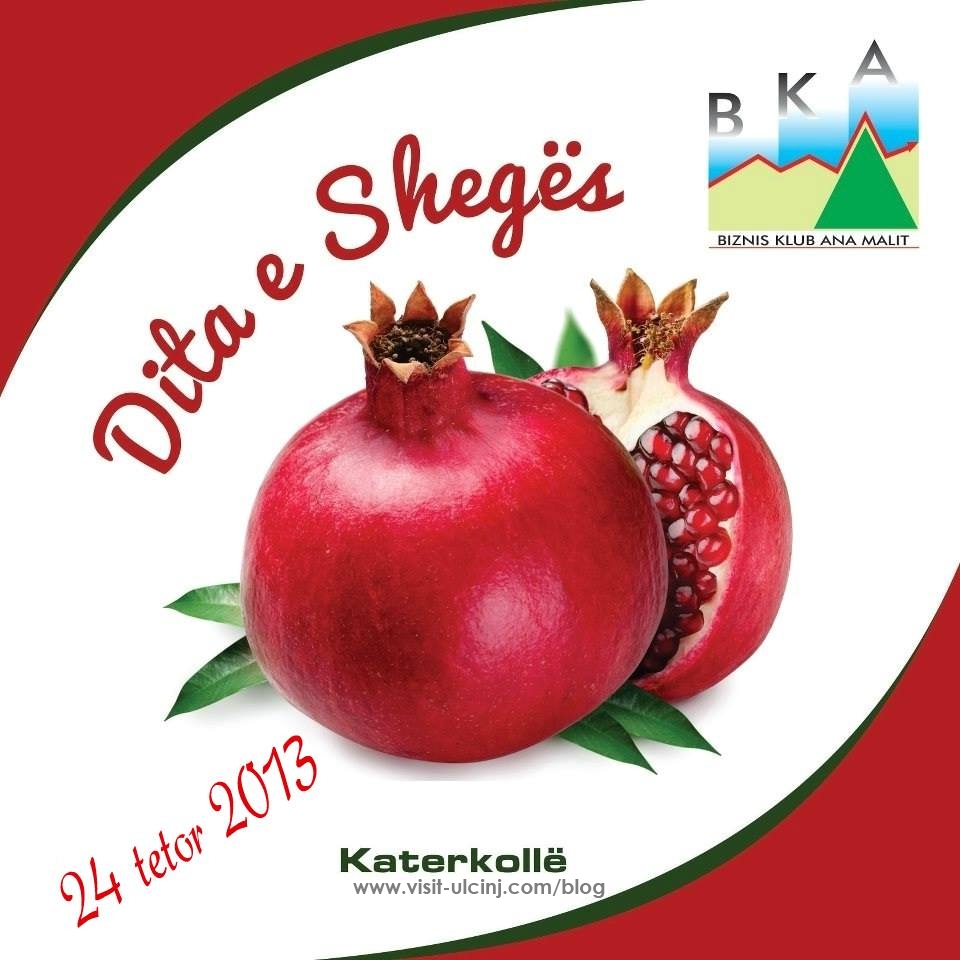 Konkursi per Fotografinë më të mirë per “Ditën e Shegës”
