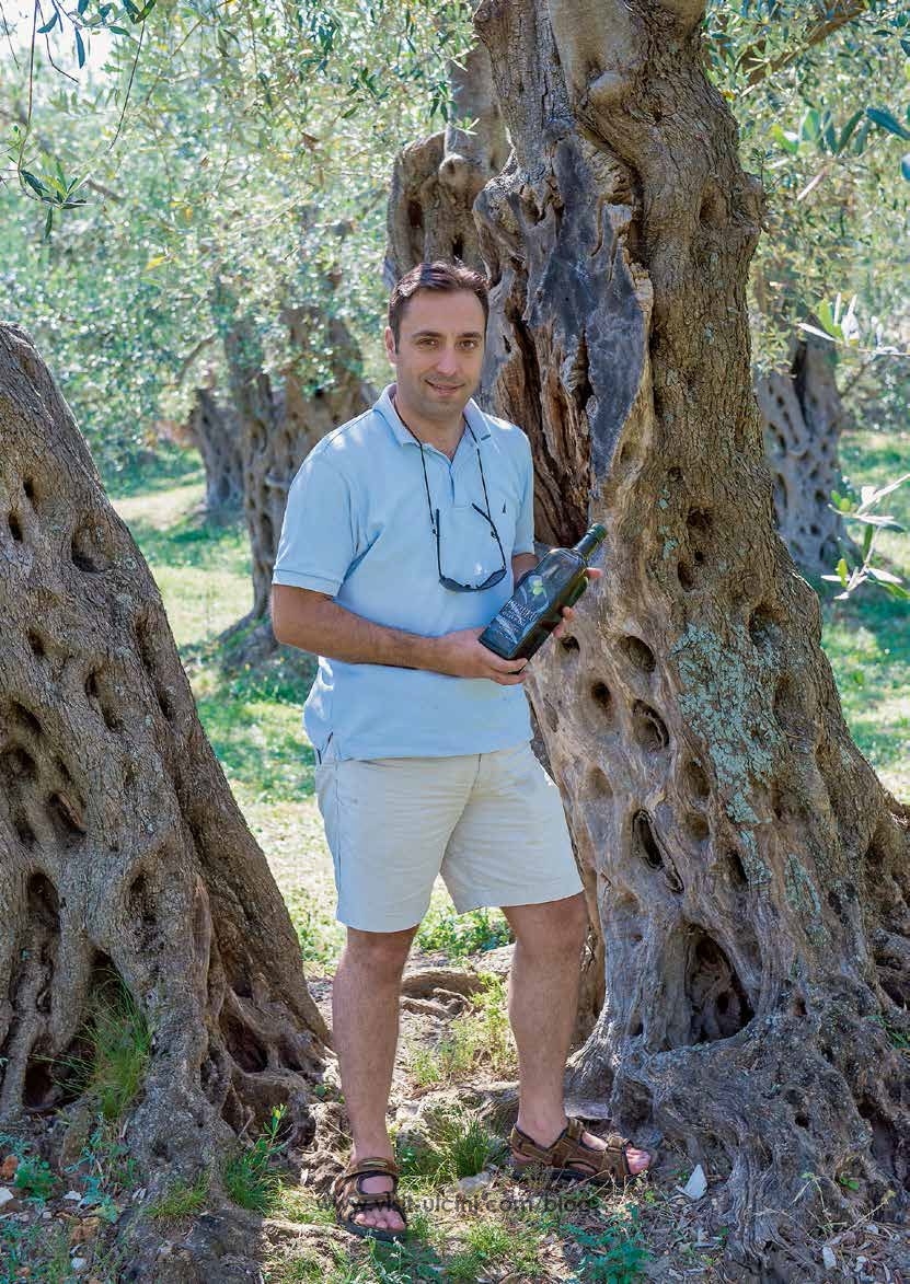 Dragocjeno ulje starih maslina Valdanosa