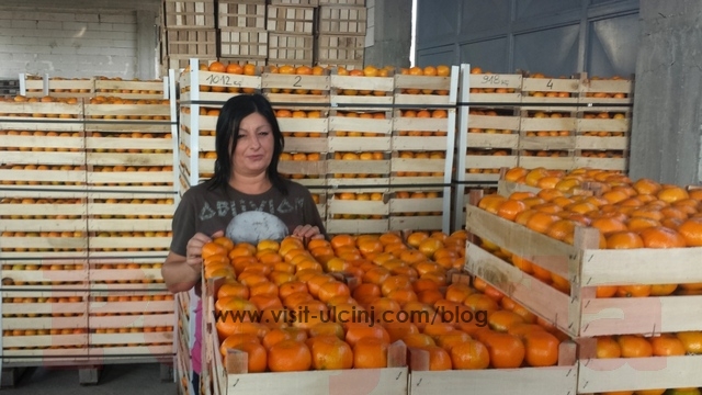 Mandarina-Ulcinj-1