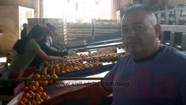 Mandarina – šansa za razvoj Ulcinja
