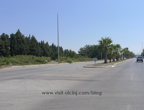 Trajtimi i palmave në territorin e Komunës së Ulqinit