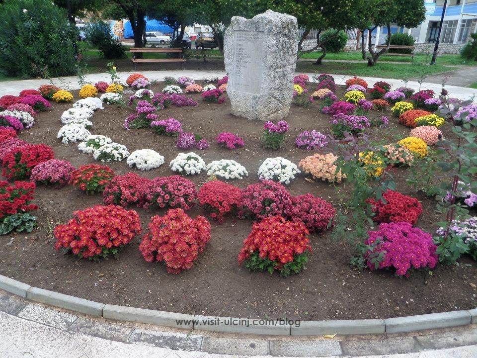 Rana dhe Zana dhe kopshti i luleve 2013 në Fotografi