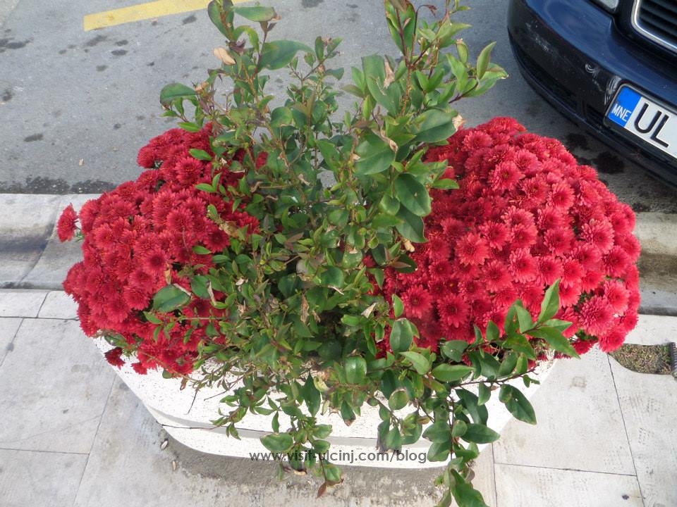 Rana dhe Zana...2013-4