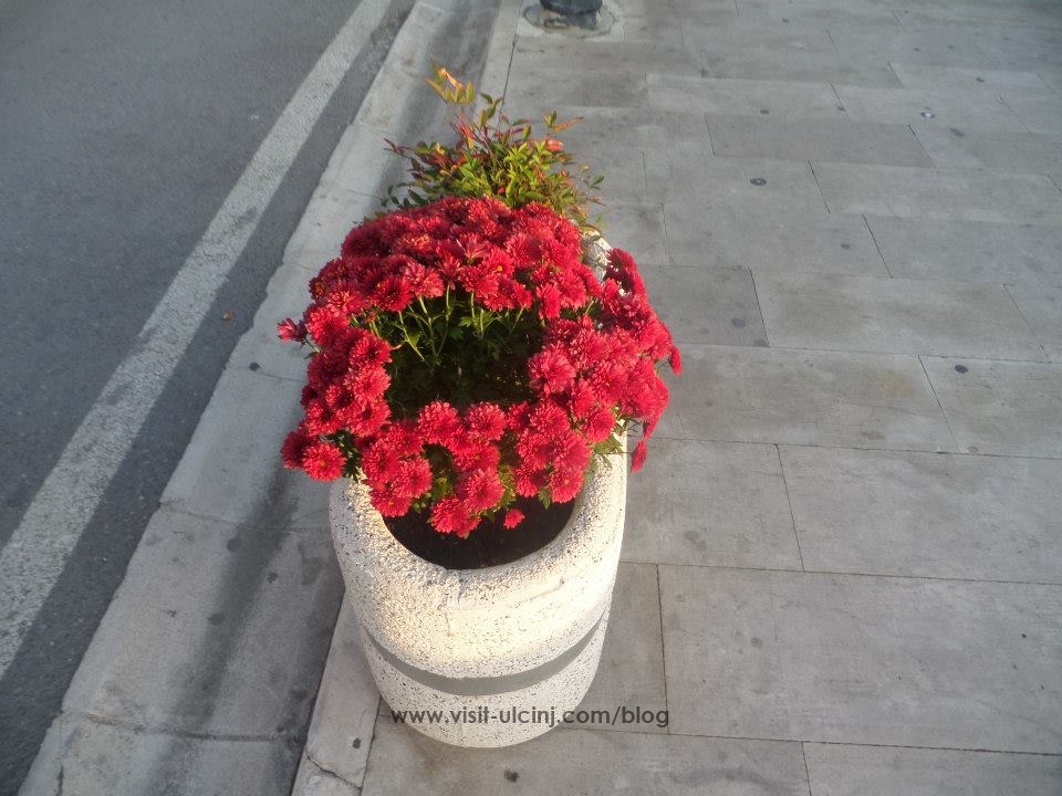 Rana dhe Zana...2013-6