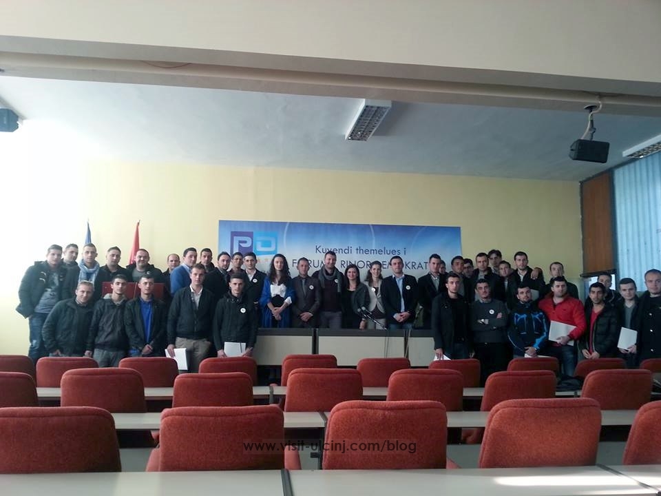 Themelohet Forumi Rinor i Partise Demokratike