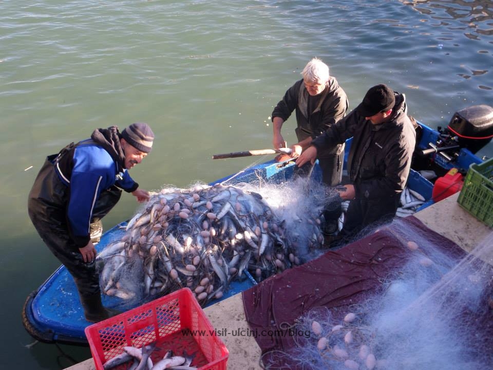 Ribari oborili rekord ulova u Ulcinj – Video
