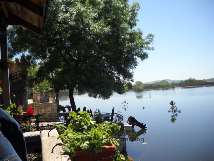 Šasko jezero prema NVO Green Home –  Spomenik prirode + Foto + Video