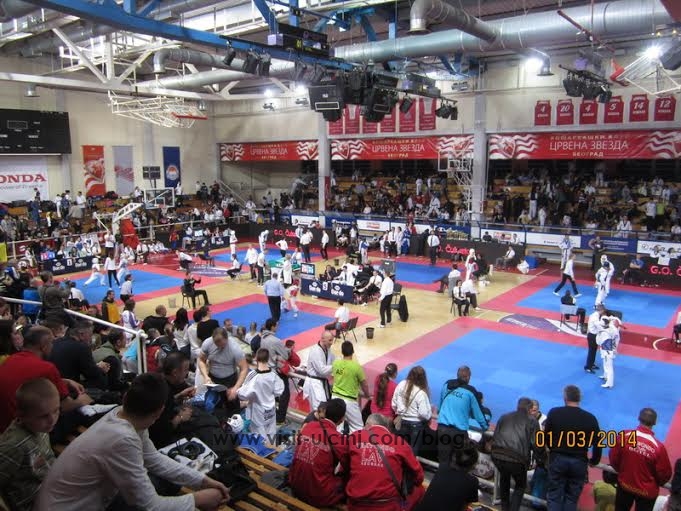 Taekwondo-Ulqini-Beograd-Open-2014-2