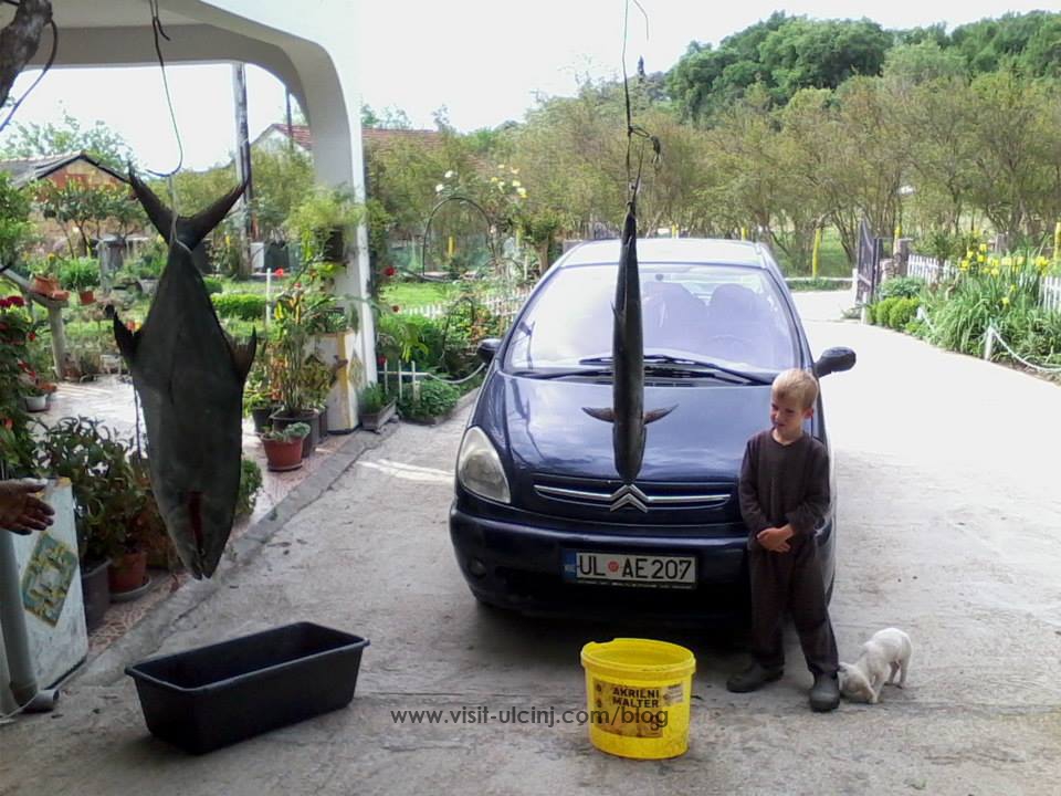 Peshkatari Adem Kraja-Ulqin-2
