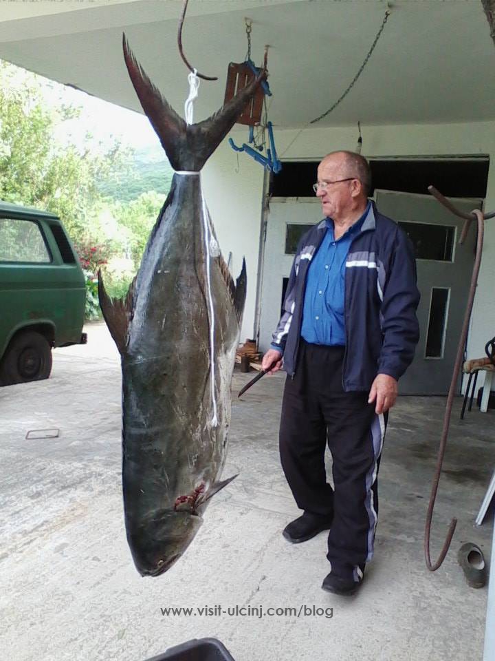 Peshkatari Adem Kraja nga Ulqini zë peshkun 48kg