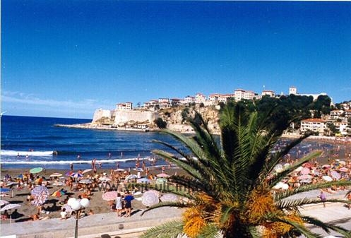 Tretiranje palmi na teritoriji Opštine Ulcinj