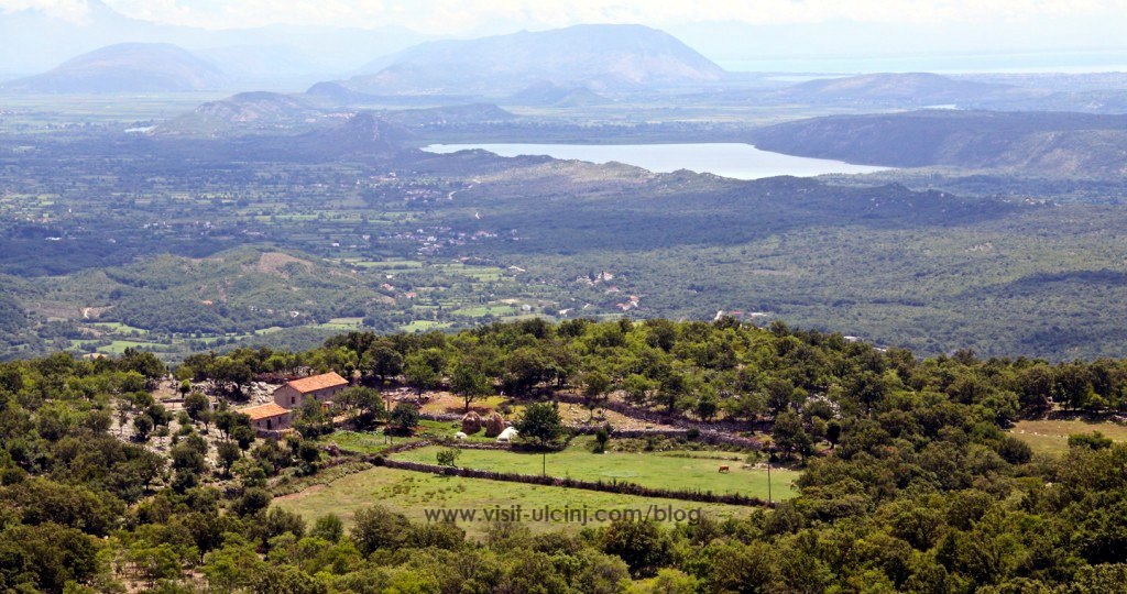 Liqeni-Shasit