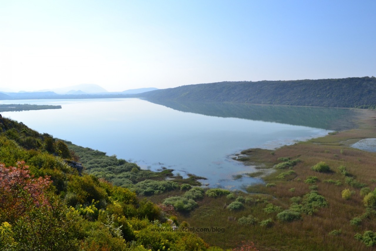 Bogatstvo Šaskog jezera potrebno je očuvati i zaštititi – Video