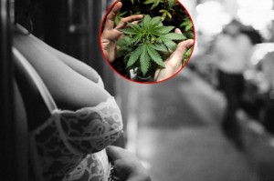 Në Mal të Zi: Seks dhe xhoint – 6 euro!