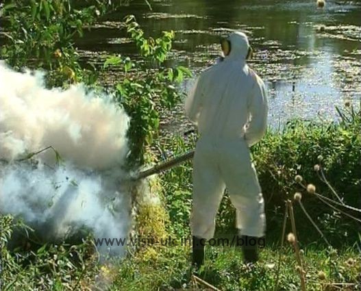 Zaprašivanje komaraca u Opštini Ulcinj, efekti su ostali bez rezultata