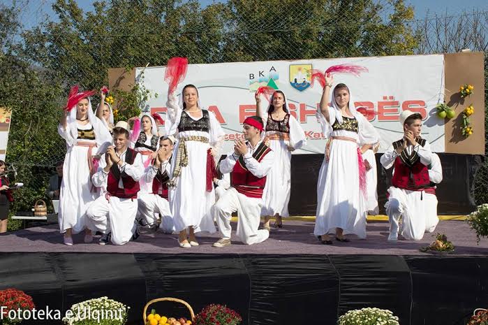 BKA & SHA -Tradita-organizon -Dita e Shegës 2014-1
