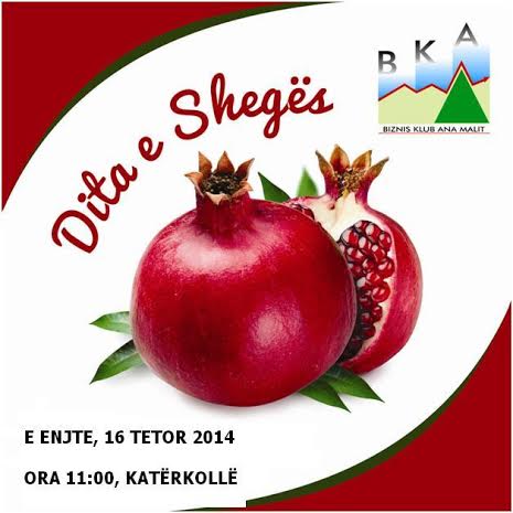 BKA Ana Malit per here te trete organizon manifestimin “Dita e Shegës 2014”