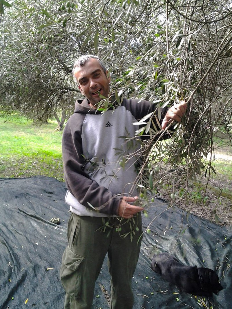 Nikola Mirović od vlasnika najbolje diskoteke do srećnog maslinara