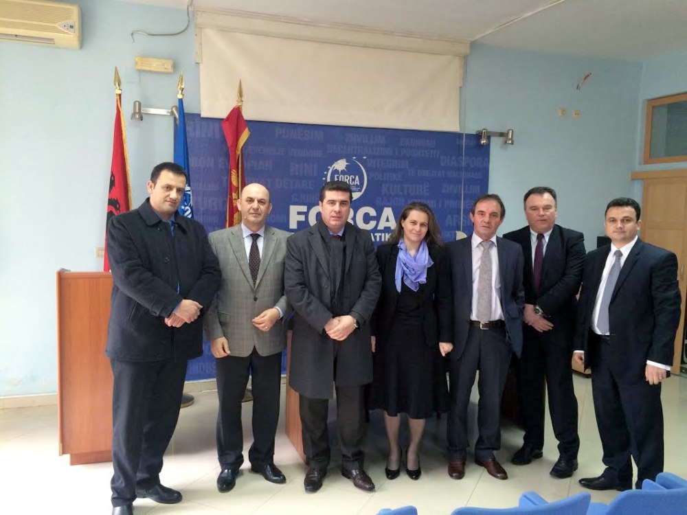 Ambasadori i Republikës së Shqipërisë në vizitë Forcës së re demokratike