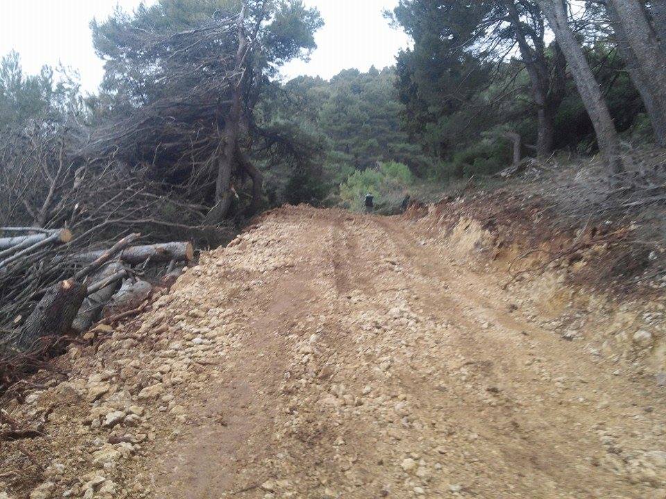 Ndërtimet pa leje pas “Albatrosit” halli i komunës së Ulqinit