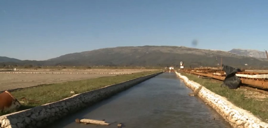 Miranovic: Bazeni ulcinjske solane se pretvaraju u mrtvo more